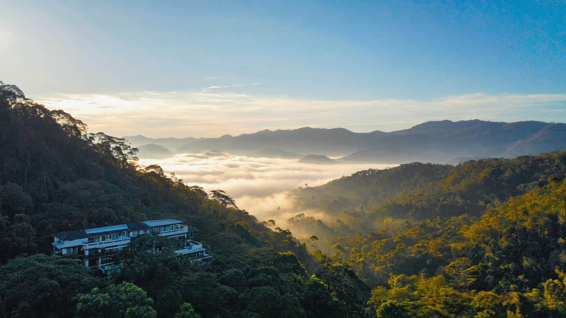 Kabus menyelubungi rabung berhutan pada awal pagi.