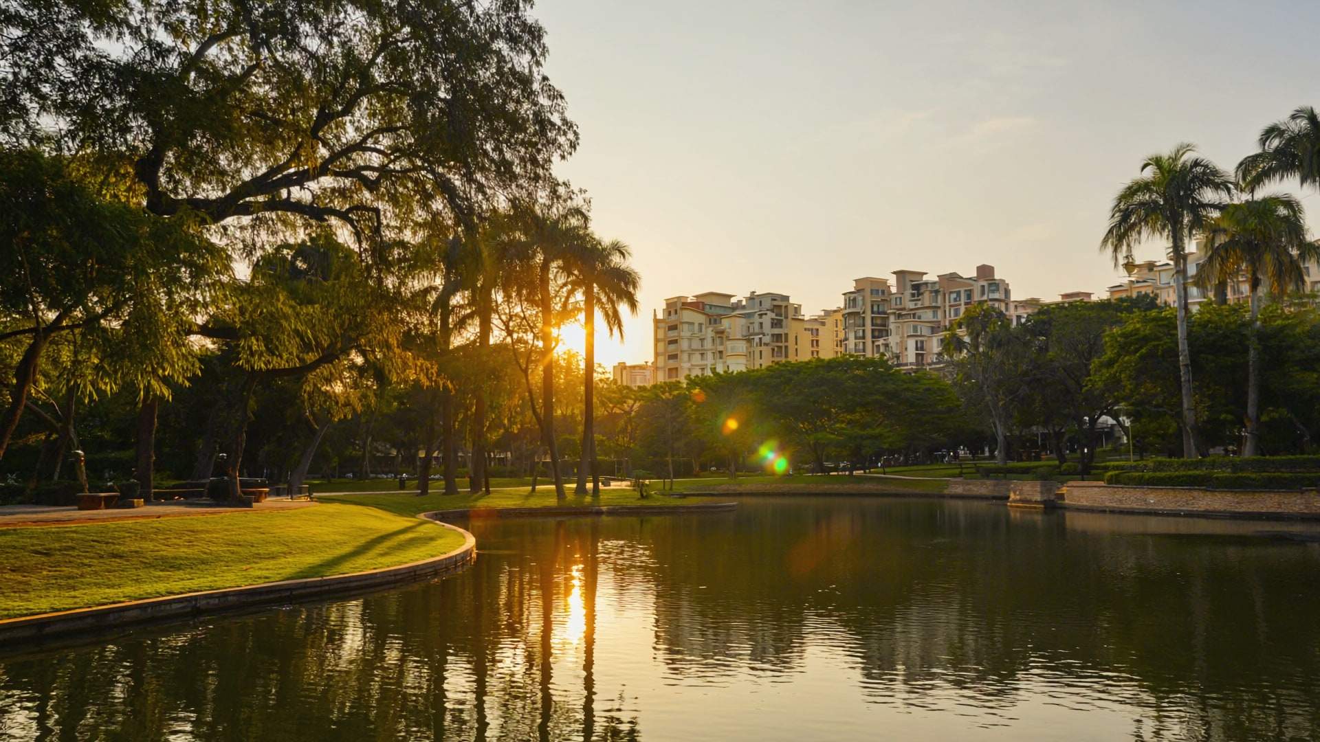 A mature city park and lake at golden hour.