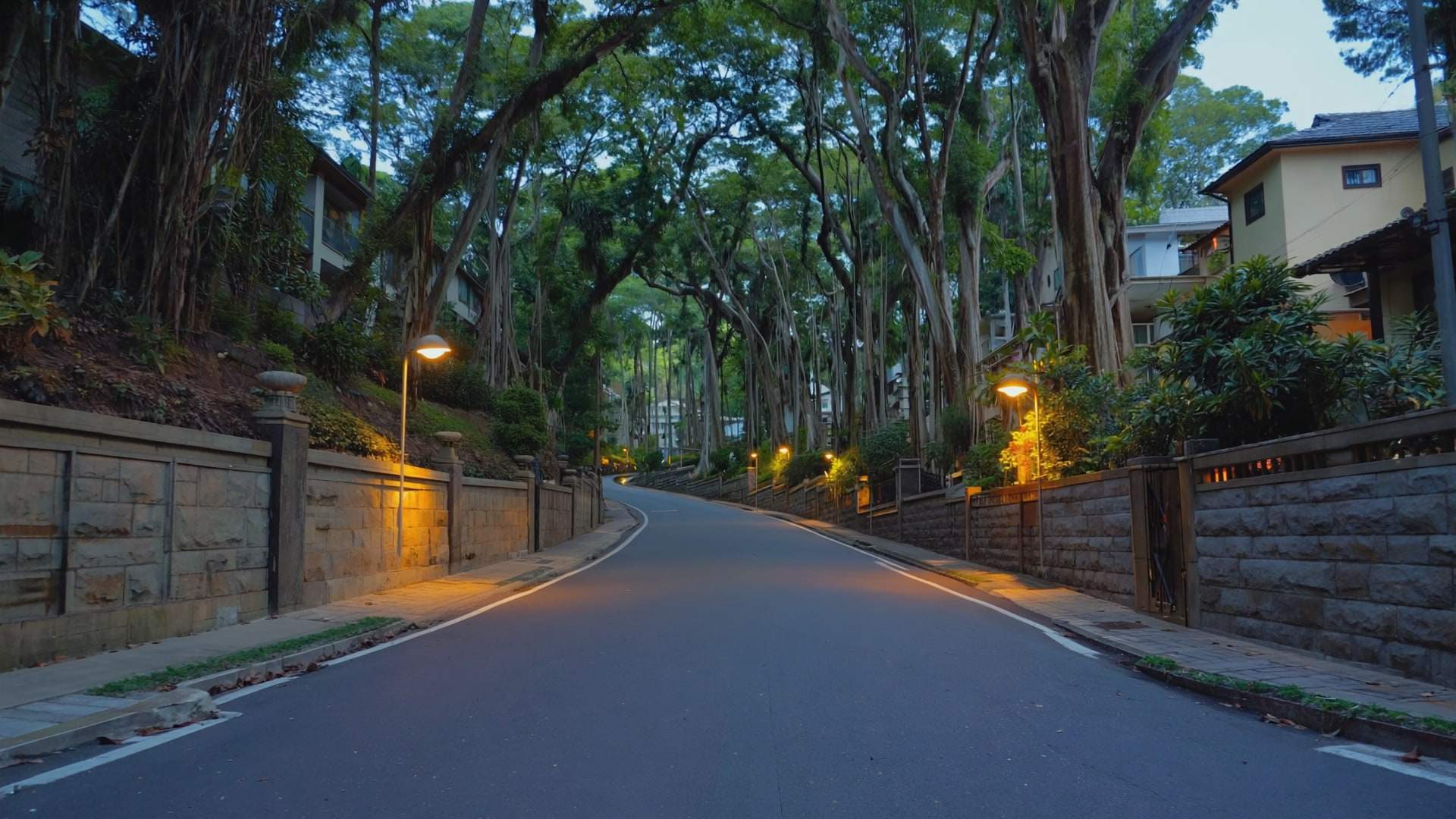 Jalan berbukit yang redup pada waktu senja, pokok hujan-hujan melengkung di atas tembok batu.