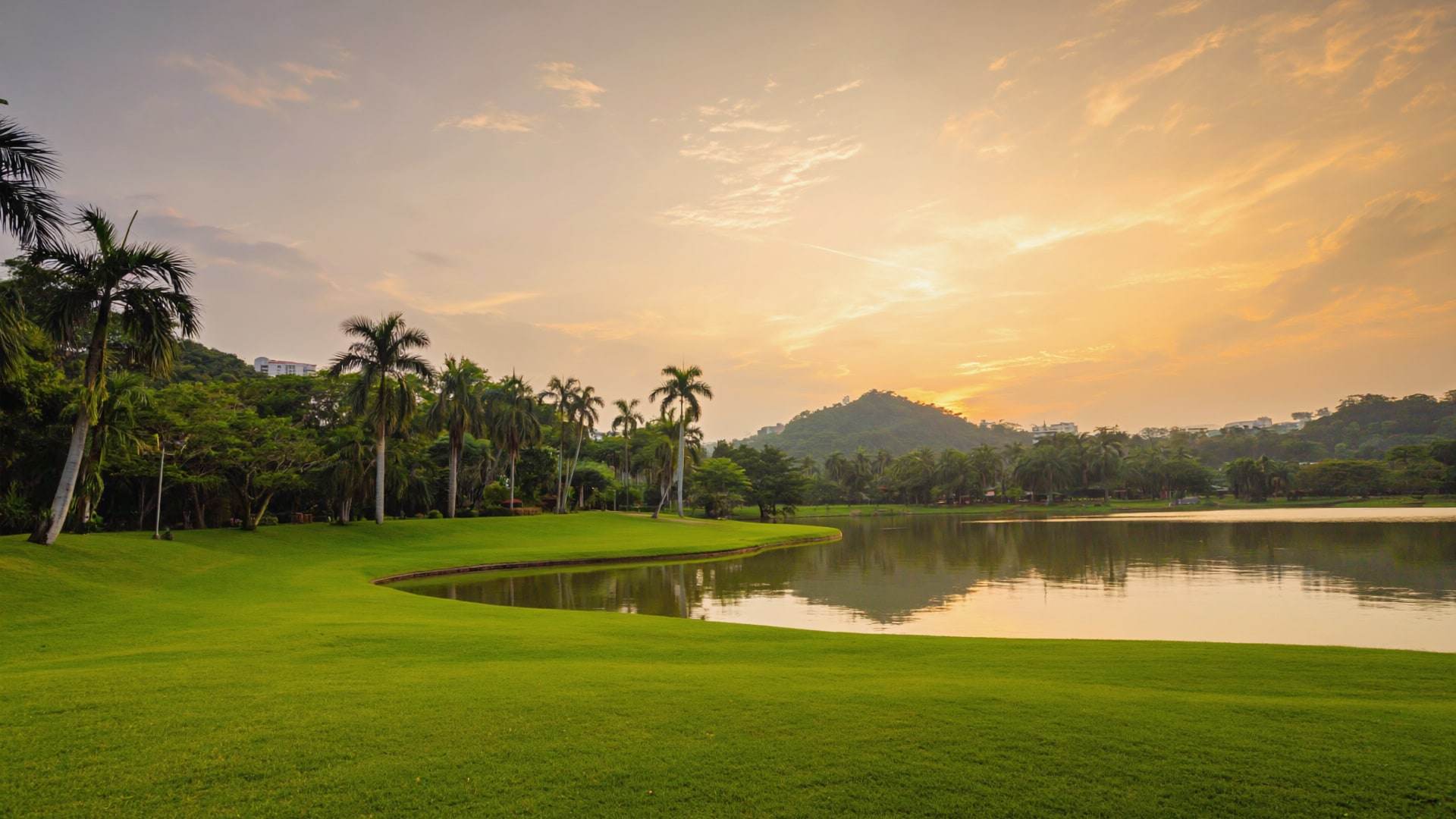 Taman tasik dan pokok palma diraja terpantul di air yang tenang pada waktu senja.