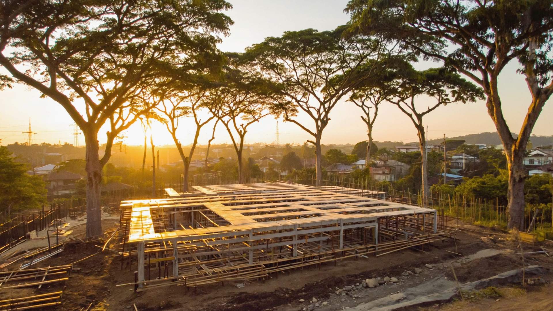 A new concrete frame rising among mature rain trees at golden hour.